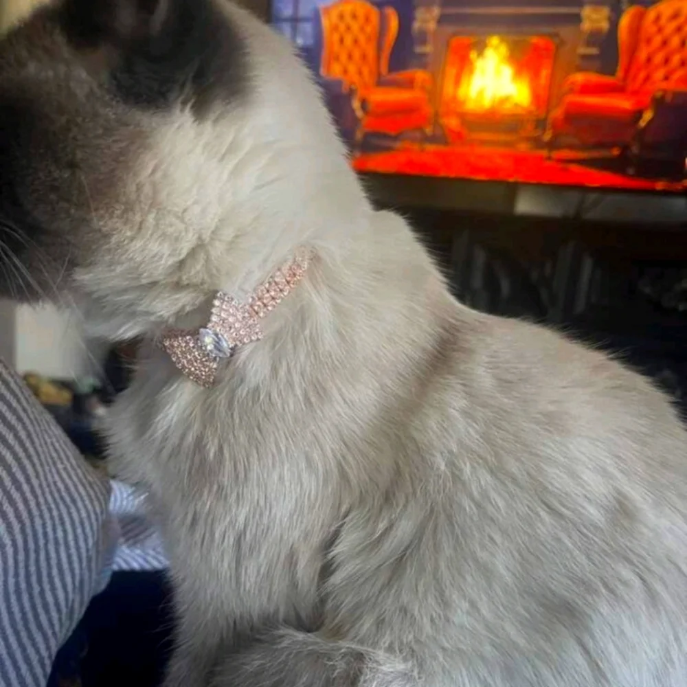 Sparkly Champagne Bow Tie Collar For Pet